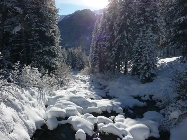 费奇特霍夫酒店 Rio Bianco/Weissenbach 外观 照片
